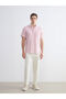 Regular Fit Short Sleeve Striped Poplin Men's Shirt - 2