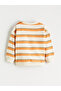 Ecru Striped Baby Boy Sweatshirt and Sweatpants - 4