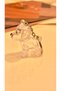 Dog Hair Filling Keychain - Dog Hair Storage Keychain - Transparent Keychain - Fill It Yourself - 3