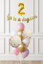 Pink Gold Girl's Birthday Party Concept Balloon Banner Set