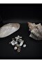 Natural Oval Button Set (24 Pieces/1.2Cm 20 Sizes)