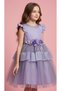 Puffy Skirt Tulle Girls' Special Occasion Dress - 3