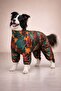 Parade Polar Medium-Large Breed Dog Raincoat Overalls