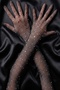Midnight Veil Long Mesh Textured Tulle Gloves |   Elegant and Couture-Enhancing Special Design - 2