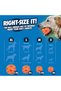 Chuck It! Air Fetch Ball Small 2-Pack - 3