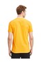 Original Licensed Aslan Printed Yellow T-Shirt with Flag and Laser Box Gift - 4
