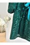 Sequin Balloon Sleeve Dress-Green - 5