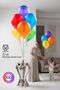 Premium Series 23 cm Matte Latex Balloon Set – Professional Event Pack of 100 722762