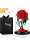 Preserved Flowers Roses in Glass Dome