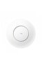 AP1300 Wireless Access Point