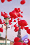 10 Red Heart Balloons |   Latex |   Helium Compatible |   Birthday & Special Day |   10” 25 cm - 4
