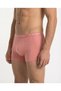 Rose Boxer Dried Rose - 4