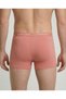 Rose Boxer Dried Rose - 5