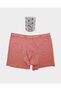 Rose Boxer Dried Rose - 2