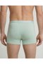 Celadon Boxer Green - 5