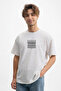 Men's Geometric Line Printed Crew Neck Gray T-Shirt