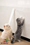 Cat Sofa Scratch Protector Transparent Adhesive Furniture Anti-Scratch Tape 37 Cmx5M - 4