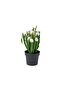 Artificial Plant, Green-White, 9 Cm, Snowdrops, Indoor/Outdoor