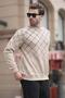 Beige Patterned Crew Neck Knit Sweater 6019 - 3
