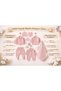 Gots Certified Dried Rose 100% Organic Cotton Muslin Newborn Hospital Discharge Set Stylish Gift Package - 6