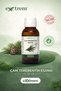 Pine Turpentine Essence 100% Natural – Hair Care and Strengthening Natural Oil |   2X50 ml Glass Bottle - 4