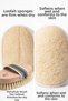 3-Piece Natural Body Care Set Anti-Cellulite & Anti-Ingrown Hair Care Package - 5
