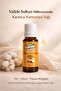 Ant Egg Oil Hair Reducer Hair Depilatory 20 ml 3 Pieces - 4
