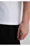 White V-neckSlimFit T-shirt - 065586 -620 - 7