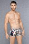 Year of the Dog Men's Boxer