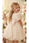 Baby Girl Party Dress Birthday Dress with 3D Floral Tulle