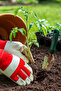 Heavy Duty Gardening Gloves - 2