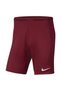 Dri-FIT Park III Erkek Şort