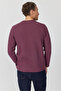 Men's Basic Sweatshirt - 5