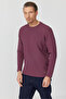 Men's Basic Sweatshirt - 3
