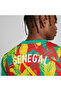 Mens Senegal 2025 Pre-match Jersey Top - Green - 5