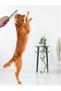 Rekosell Hair Removal Comb for Dogs and Cats, Detangling Comb with Unbreakable Metal Teeth, Pet Grooming - 2