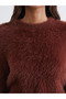 Lcw Vision Brown Crew Neck Women's Plush Knitwear Sweater - 3