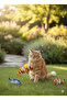 Electric Moving Fish Toy Realistic Simulation Swinging Fish Pet Toy - 2