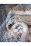 Varnelle Single Sherpa Blanket - Ecru/Blue - 6