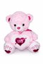 40 cm Plush Teddy Bear Special Gift for Valentine's Day & Children Soft Stuffed Toy with Love Heart