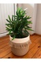 Wicker Jute Basket Flower Pot - 2
