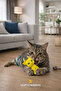 Cat Intelligence & Toy Set (8 Pieces) – Entertainment, Activity, and Reward Toys - 6