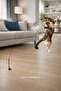 Cat Intelligence & Toy Set (8 Pieces) – Entertainment, Activity, and Reward Toys - 5