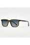 ALJAHILI Polarized - 7
