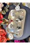 Esterhomedecor 2-Piece Metal Spice Rack with Lid and Tray in Shiny Silver - 7