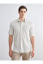 Regular Fit Short Sleeve Striped Men's Shirt