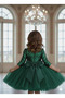 Girl's Emerald Green Sequin Detailed Skirt Tulle Dress, Girl's Evening Dress, Party Dress - 2