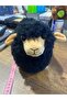 Plush Sounding Black Lamb