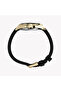 Men's Gold/Green, Black/Gold | Tw2y05300 - 2