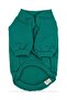 Green hoodless sweatshirt